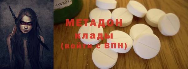 прущие грибы Осинники