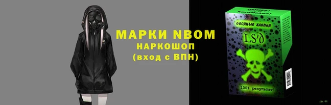прущие грибы Осинники