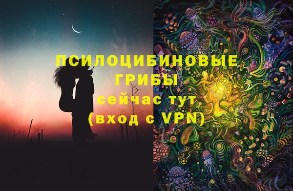мяу мяу мука Осташков