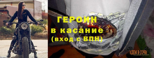 прущие грибы Осинники