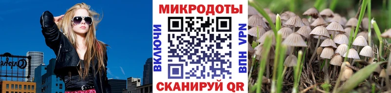 Галлюциногенные грибы Magic Shrooms  blacksprut ССЫЛКА  Усть-Катав 